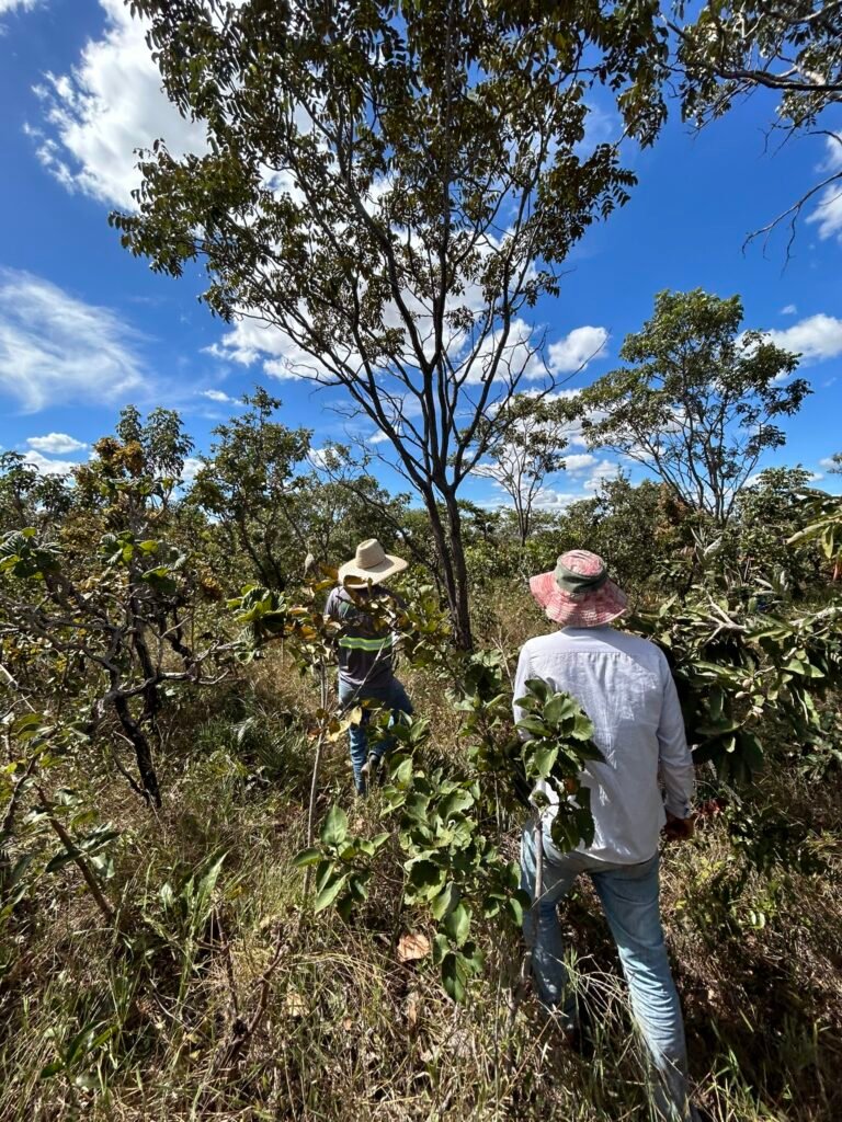 Equipe da Agrarius em levantamento de campo no cerrado