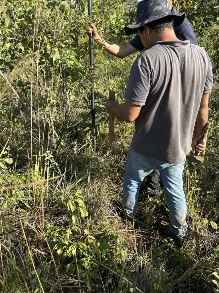 Equipe técnica da Agrarius em levantamento de vegetação para consultoria ambiental