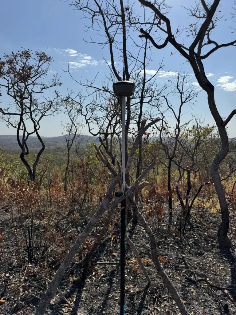 Levantamento GNSS em área queimada no Cerrado para laudo ambiental
